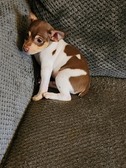 Enlarge photo 3