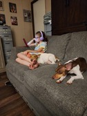 Enlarge photo 3