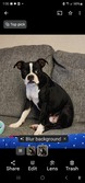 Zoe