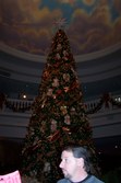 Enlarge photo 28