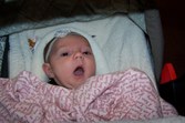 Pictures from Sunday, January 20, 2008