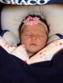 Pictures from Sunday, December 20, 2009