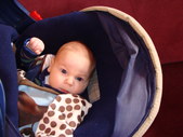 Pictures from Sunday, January 17, 2010