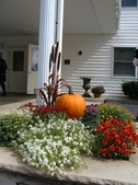 Pictures from Sunday, October 3, 2010