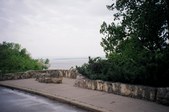 Enlarge photo 170
