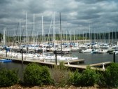 Enlarge photo 110