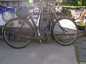 Enlarge photo 85