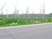Enlarge photo 114