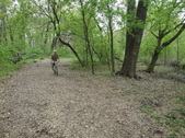 Enlarge photo 10