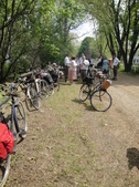 Enlarge photo 83