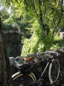 Enlarge photo 13