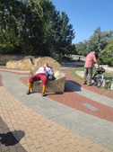 Enlarge photo 30