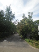 Enlarge photo 42