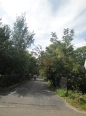 Enlarge photo 44