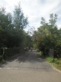 Enlarge photo 46