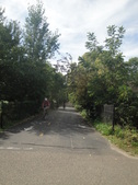 Enlarge photo 48