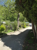 Enlarge photo 43