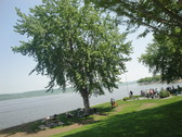 Enlarge photo 104