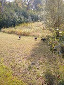 Enlarge photo 43