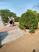 Enlarge photo 47