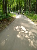 Enlarge photo 56