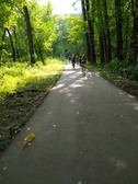 Enlarge photo 57