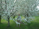 Enlarge photo 61