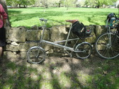 Enlarge photo 118