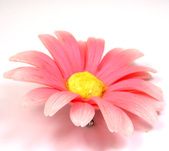 Enlarge photo 519
