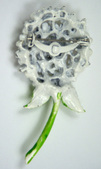 Enlarge photo 33