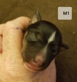 Enlarge photo 4