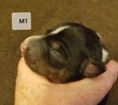 Enlarge photo 6