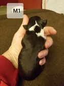 Enlarge photo 5