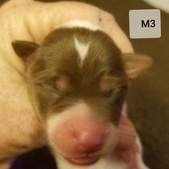 Enlarge photo 6