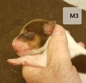 Enlarge photo 4