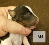 Enlarge photo 8