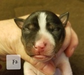 Enlarge photo 5