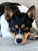 AAcres Won't You Come Home (Bailey)