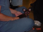 Enlarge photo 9