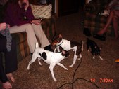 Enlarge photo 21