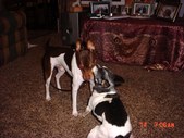 Enlarge photo 12