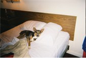 Enlarge photo 8