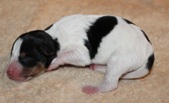 Enlarge photo 5