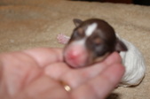 Enlarge photo 7