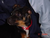 Enlarge photo 12
