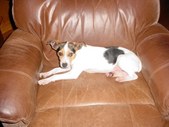 Enlarge photo 13