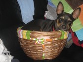 Enlarge photo 9