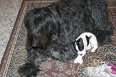 Enlarge photo 2