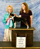 2010