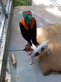 Enlarge photo 5